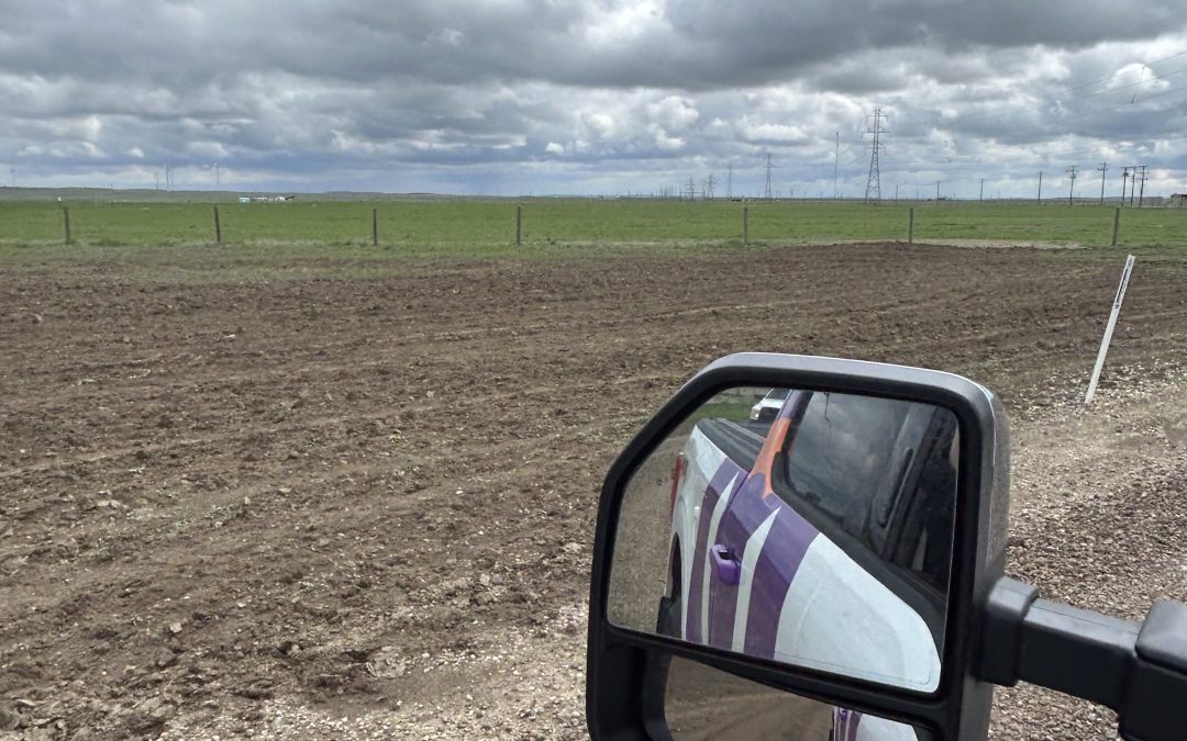 Shaping Sustainable Networks