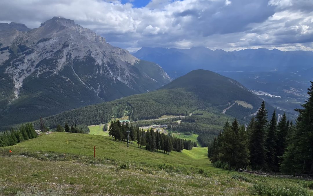 Decommissioning Project